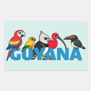 Pegatina Rectangular Guyana Birdorable