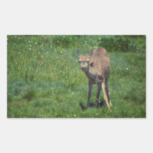 Pegatina Rectangular Hacer frente