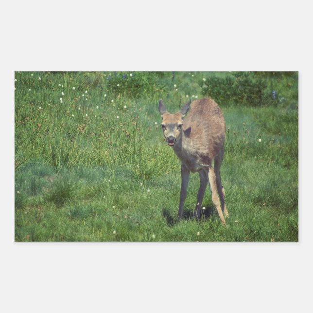 Pegatina Rectangular Hacer frente (Anverso)