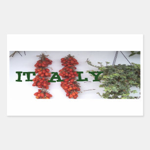 Pegatina Rectangular Haciendo Tomates Secos Solares