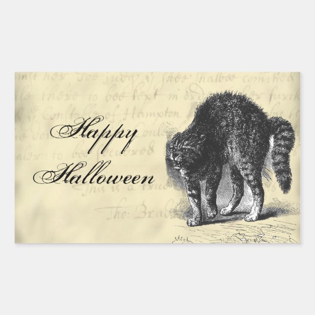 Pegatina Rectangular Halloween con gatos Petrificados (Anverso)