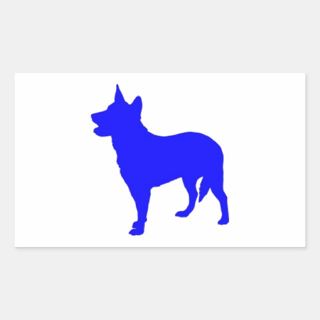 Pegatina Rectangular Heeler azul australiano (Anverso)