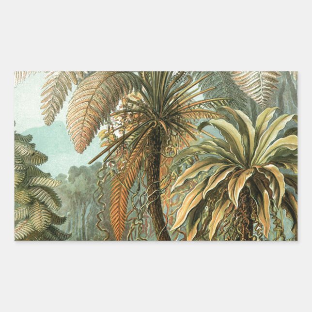 Pegatina Rectangular Helechos Palma Árbol Antiguo Arte Botánico Helecho (Anverso)