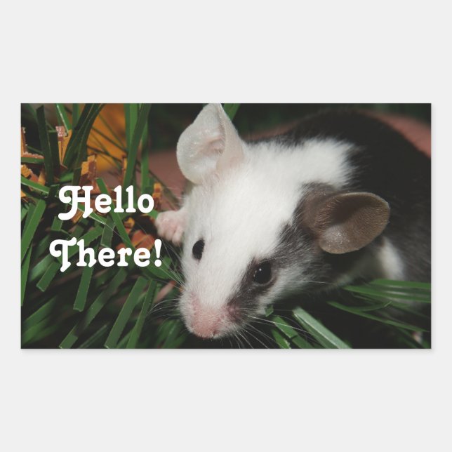 Pegatina Rectangular Hello Mouse (Anverso)
