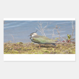 Pegatina Rectangular Hembra de lapidación