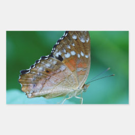 Pegatina Rectangular Hermosa mariposa Danaus Plexippus en hoja.