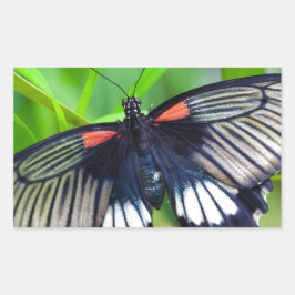 Pegatina Rectangular Hermosa mariposa negra, blanca y roja