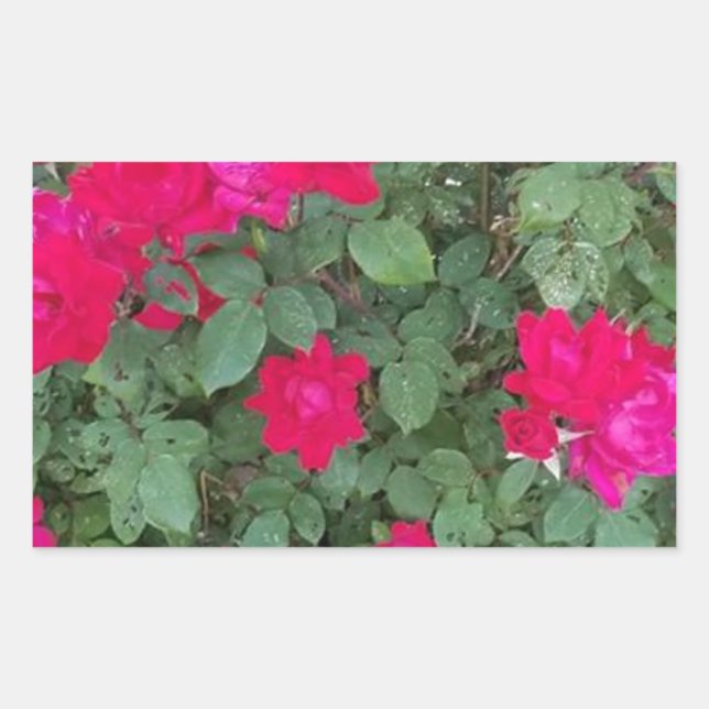 Pegatina Rectangular Hermosas flores (Anverso)
