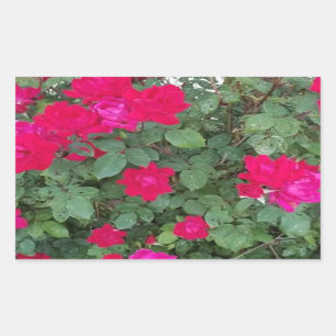 Pegatina Rectangular Hermosas flores