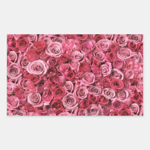 Pegatina Rectangular Hermosas rosas rosas