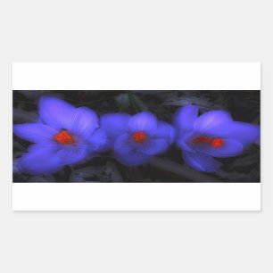 Pegatina Rectangular Hermoso cromo azul morado florece