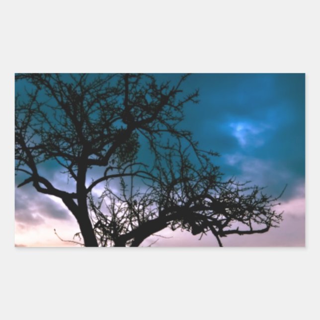 Pegatina Rectangular Hermoso Sunset Escenario Paisaje Fotográfico Arte (Anverso)