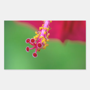Pegatina Rectangular hibisco
