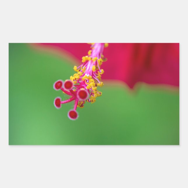 Pegatina Rectangular hibisco (Anverso)