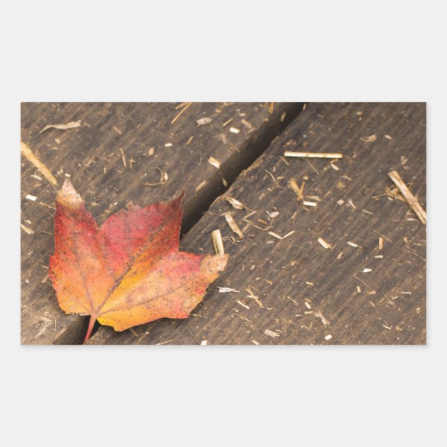 Pegatina Rectangular Hoja de arce única en otoño (Anverso)