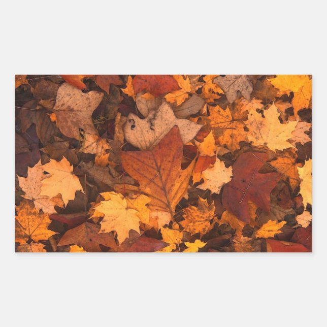 Pegatina Rectangular Hojas Autum (Anverso)