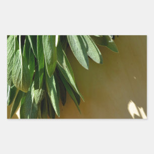 Pegatina Rectangular Hojas botánicas verdes elegantes hierbas recién co