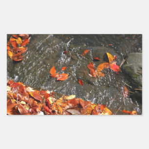 Pegatina Rectangular Hojas de otoño en cascada I Fotografía de otoño