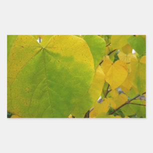 Pegatina Rectangular Hojas de Redbud amarillas y verdes
