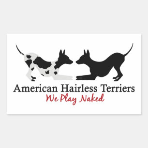 Pegatina Rectangular Hojas Pegatinas AHT "Jugamos"