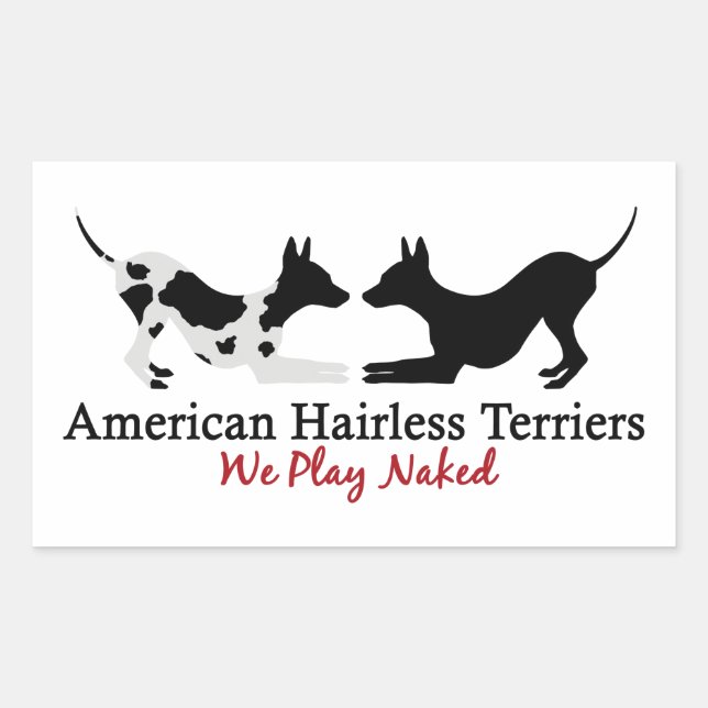 Pegatina Rectangular Hojas Pegatinas AHT "Jugamos" (Anverso)