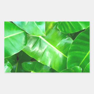 Pegatina Rectangular Hojas verdes de palma tropical follaje selva