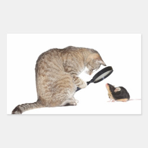 Pegatina Rectangular ¡Hola!