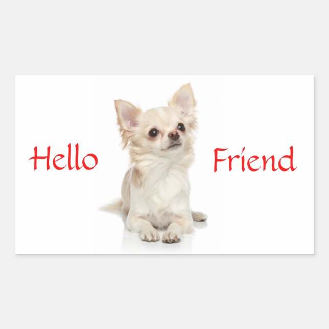 Pegatina Rectangular Hola Amigo Chihuahua de Pelo Largo Sticker (Anverso)