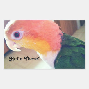 Pegatina Rectangular Hola Bird