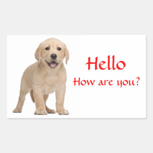 Pegatina Rectangular Hola / Hola Stickers de cachorro de Labrador Retri