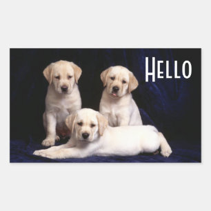 Pegatina Rectangular Hola Stickers de cachorro de perro Labrador Retrie