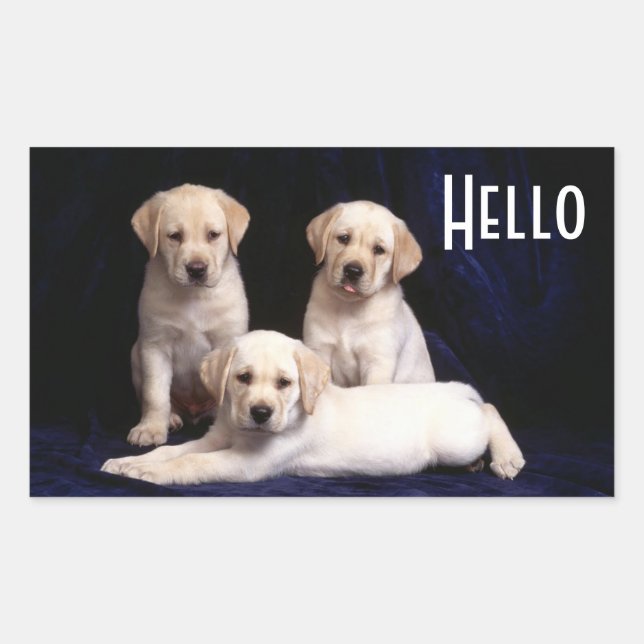 Pegatina Rectangular Hola Stickers de cachorro de perro Labrador Retrie (Anverso)
