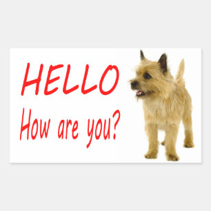 Pegatina Rectangular Hola Stickers de Cachorro de Perro Terrier Cairn d