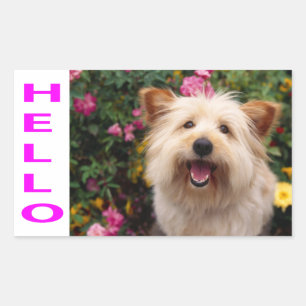 Pegatina Rectangular Hola Stickers de Cachorro de Perro Terrier Cairn d