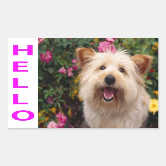Pegatina Rectangular Hola Stickers de Cachorro de Perro Terrier Cairn d (Anverso)