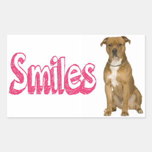 Pegatina Rectangular Hola Stickers de perro American Staffordshire Terr