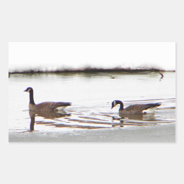 Pegatina Rectangular Honkers - Canadá Geese (Anverso)