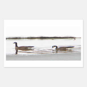 Pegatina Rectangular Honkers - Canadá Geese