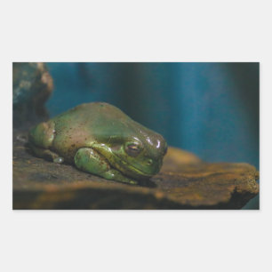 Pegatina Rectangular Hora Nap