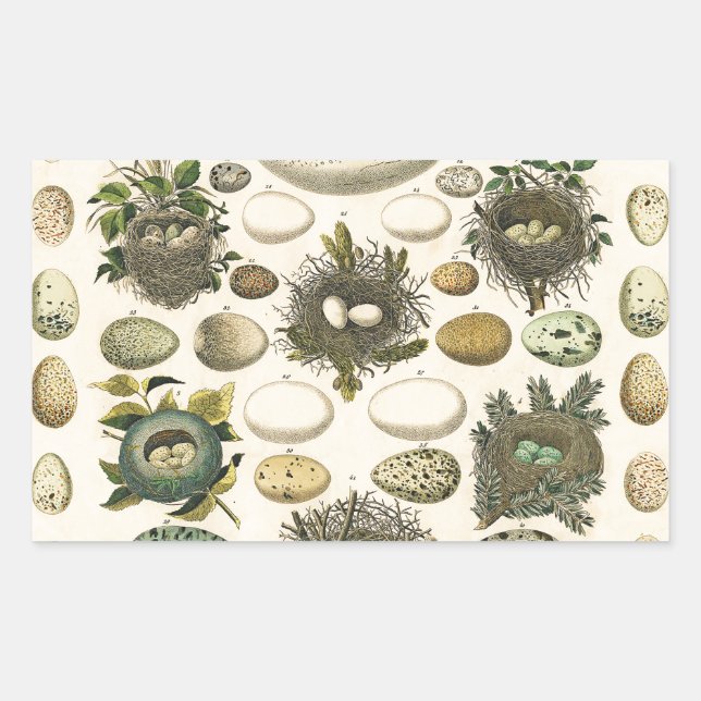 Pegatina Rectangular Huevos de pintura de arte de nido de ave de ave vi (Anverso)