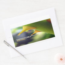 Hugh Miller Cita Inspiradora "Oportunidades"