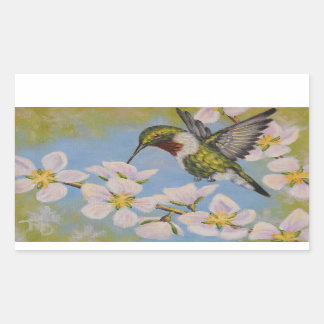 Pegatina Rectangular Hummingbird con trompa de rubí - Pegatinas