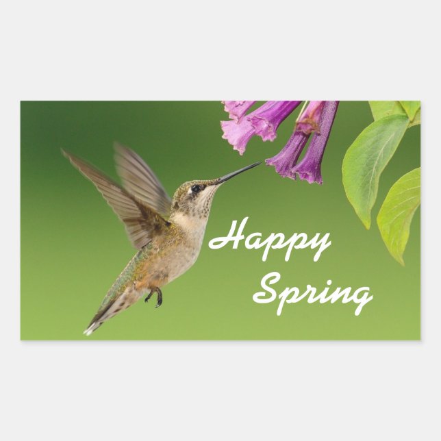Pegatina Rectangular Hummingbird Happy Spring (Anverso)