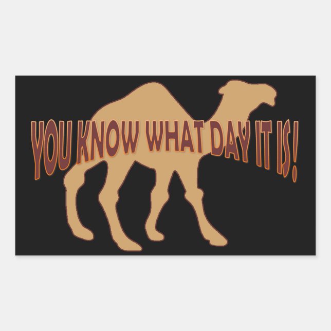 PEGATINA RECTANGULAR HUMP DAY HUMP DAY CAMEL (Anverso)