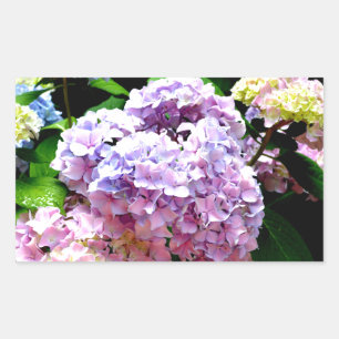Pegatina Rectangular Hydrangea garden, rosa, azul, violeta floral