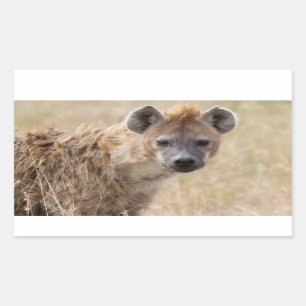 Pegatina Rectangular Hyena