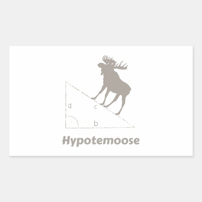 Pegatina Rectangular Hypotemoose Math Geek (Anverso)