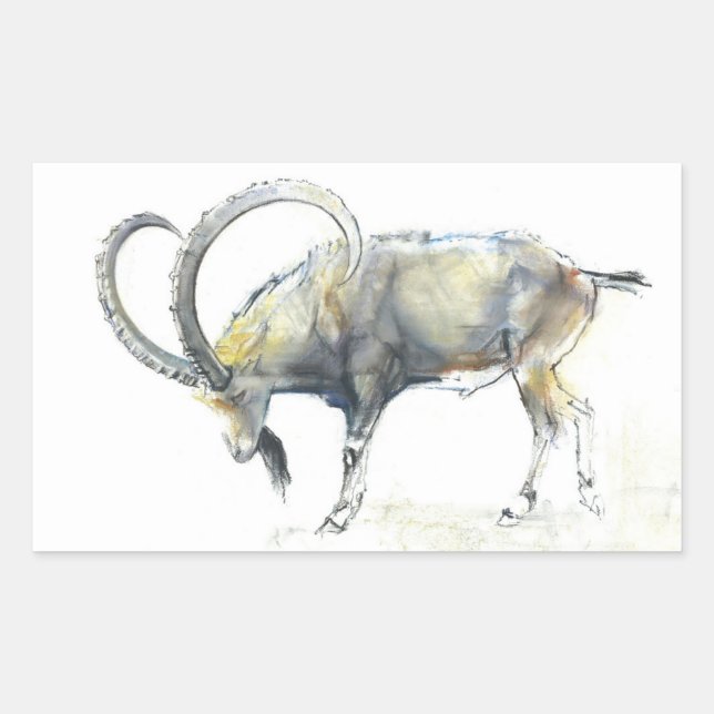 Pegatina Rectangular Ibex nubio 2008 (Anverso)