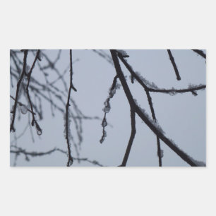 Pegatina Rectangular Icy Branches Winter Nature Photography