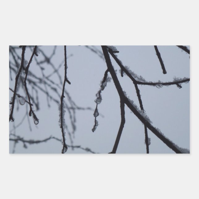 Pegatina Rectangular Icy Branches Winter Nature Photography (Anverso)